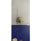 Киверный лев великая армия Франция 1812 год