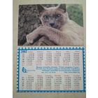 Карманный календарик . Котик. Белпочта. 2002 год