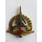 Знак. Значок. "Ветеран ВВС". Тяжелый. Военно-воздушные силы. Авиация. Штурманская служба.