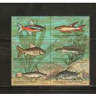 Бразилия-1976(Мих.1545-1550) , **  , Морская  Фауна, Рыбы(полная серия)