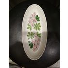 Рыбница СССР
