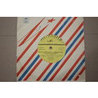 Пластинка-винил (Песни А. Флярковского)