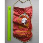 Вымпел Правофланговому пионерскому отряду.