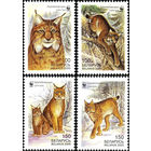 Европейская рысь Беларусь 2000 год (384-387) серия из 4-х марок