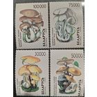 Беларусь 1999. Грибы. Полная серия