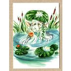 Романова Виктория Водяной Посткроссинг 2019г. Чистая