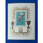 СССР 1973г. Блок.  ЧМ и Европы по хоккею с шайбой.**