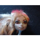 Монстер Хай . Кукла Monster High .
