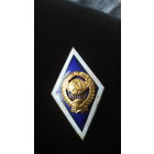 Знак об окончании ВУЗ.