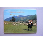 Комплект, "Свердловск", 1987, 10 шт., чистые (маркированные).