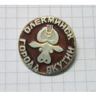 Олекминск. Города Якутии