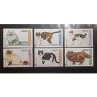 Республика Гвинея. 1996 год. Фауна. Кошки (759)