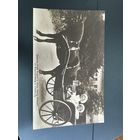 Старинная фотография. Лошадь повозка карета Европа много Лотов с рубля