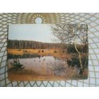 Открытка СССР 1989 год.   Чистая. В.Катаев.  Состояние на скане.