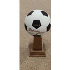 Сувенирная бутылка к чемпионату мира по футболу.