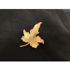 Брошь Осенний лист