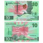 Замбия 10 квача 2024 год UNC  НОВИНКА