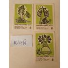 Спичечные этикетки ф.Борисов. День работника леса.1969 год