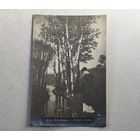 До 1917 года  открытка