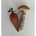 Елочные игрушки морковь гриб вата цена за все