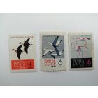 1962 СССР. Птицы