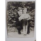 Фото в коллекцию