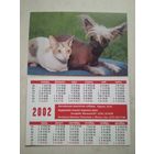 Карманный календарик . Котик и собака. 2002 год