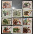 Канада. Флора. Деревья