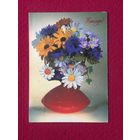 Поздравляю! 1993 г.