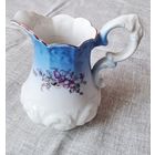 МОЛОЧНИК /БАРАНОВКА/ ЦВЕТЫ РЕДКОСТЬ!!!