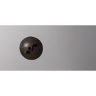 Закрутка (ушастая)