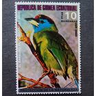 Марка Экваториальная Гвинея 1976 год Птицы