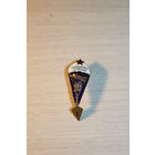 Знак "Парашютист -отличник", времён СССР, тяжёлый металл, эмаль целая, не ношенный..