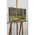 Ручей в лесу