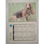 Карманный календарик. Собака.1993 год