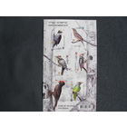 Марки РБ 1461-1465А. Блок Птицы Беларуси. Дятлообразные. Беззубцовый