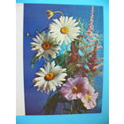 Костенко Г.(фото), Композиция из цветов, 1985, двойная, чистая (ромашки).