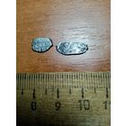 Две фальшивые чешуйки