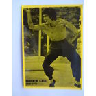 Календарик 1901-2000 г.  Брюс Ли.