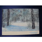 Фото Костенко Г., С Новым годом! 1970, подписана (2).