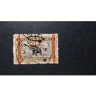 Бельгийское Конго\271с\ 1922 Слон. надпечатка