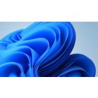 Беларусь 2004 флора ягоды Стандарт Седьмой стандартный выпуск  серия ** Бум. мелован