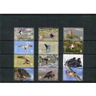 Пенрин. Фауна. Птицы. Сцепки