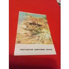 Календарик 1993г.