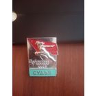 Значок. Размер со спичечную коробку