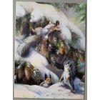 Белки. Юлия Неприятель. Авторская открытка, глянец