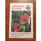 Календарик Тюльпан килеватый 1987 Яруллин