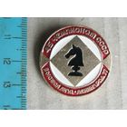 Значок ШАХМАТЫ 45 Чемпионат СССР Высшая лига Ленинград 1977 год