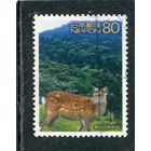 Япония. Фауна, горы, лес