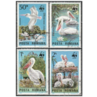 Румыния 1984, Пеликаны, ПТИЦЫ, ФАУНА